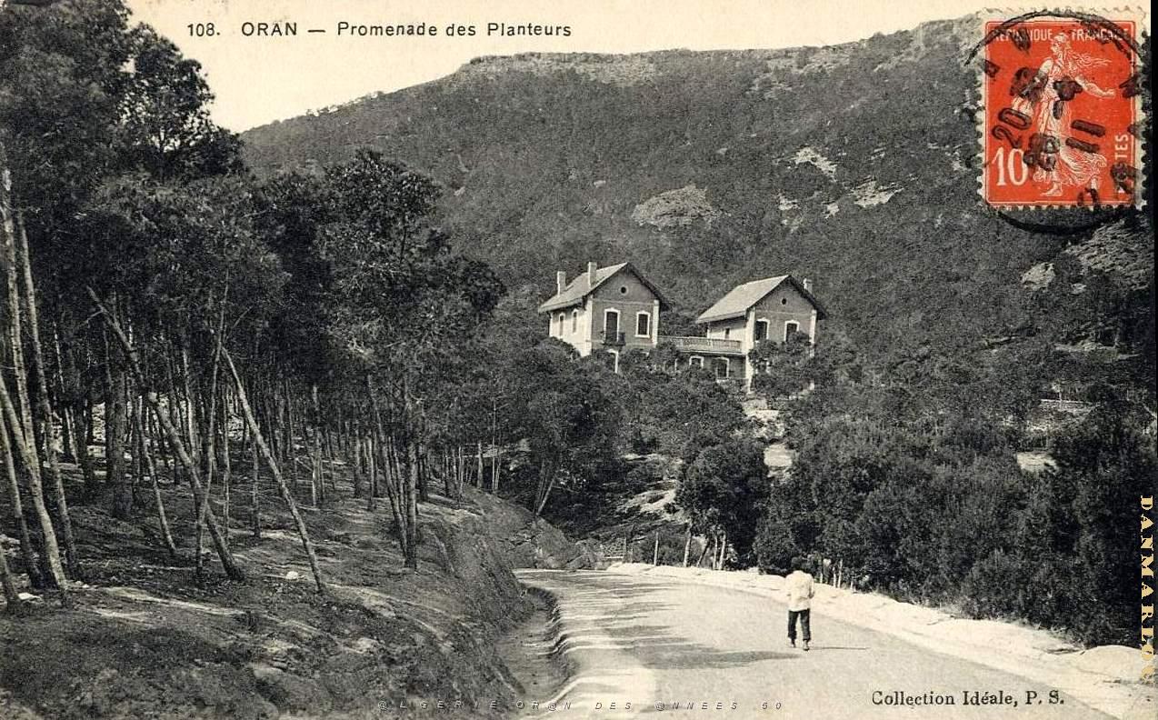 G 002- Planteurs.jpg